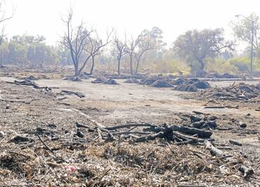 Deforestación se reduce en México
