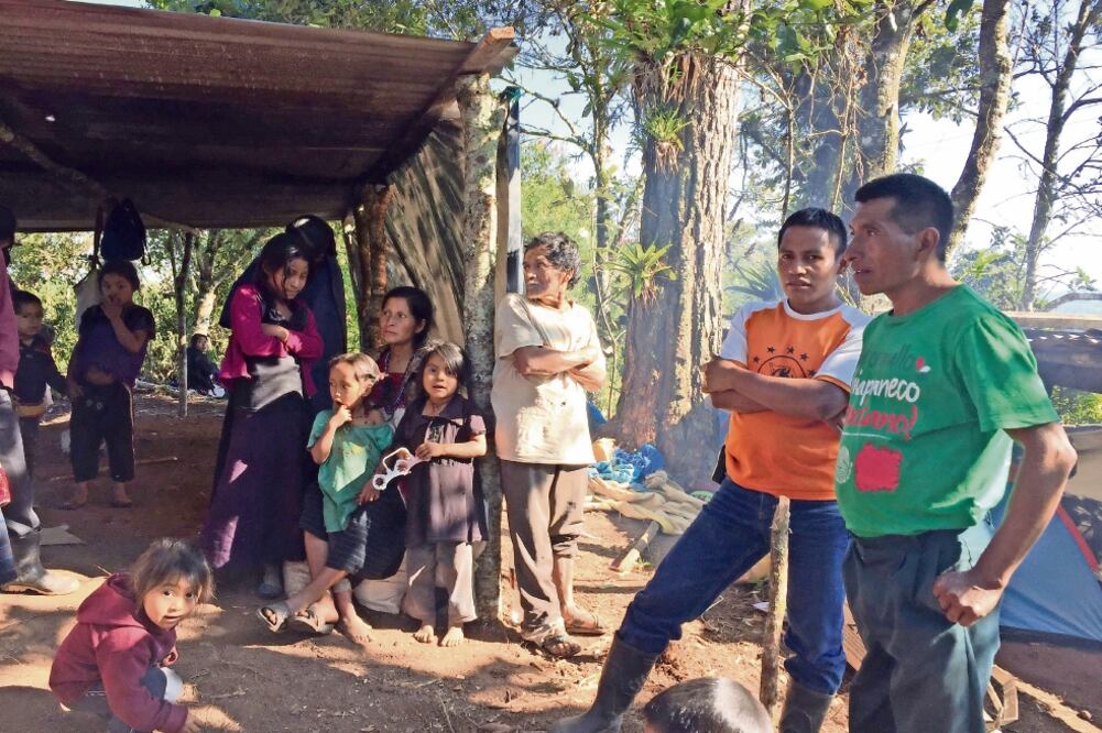 Hombres, mujeres y ancianos del campamento de Pom aseguraron que continuarán viviendo bajo los árboles, en chozas de plástico, porque creen que la resolución del TUA es “una mentira del gobierno” (FREDY MARTÍN. EL UNIVERSAL)