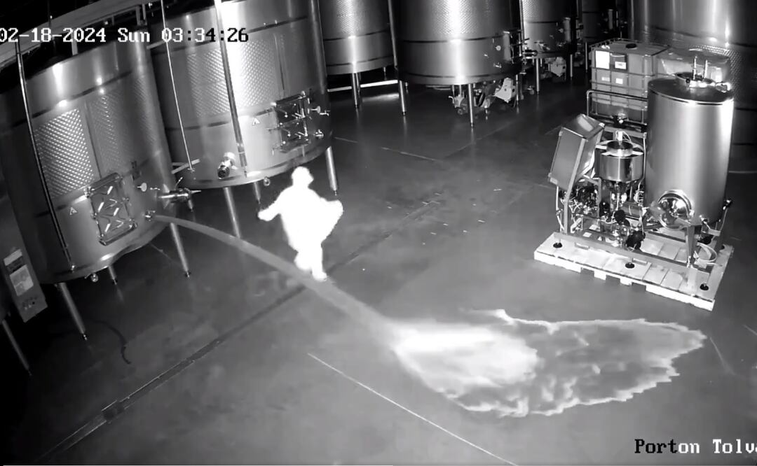 Una persona accedió a una bodega y vació tres depósitos en los que maduraban 60 mil litros de vino de alta gama, valuados en 2.7 mdd, en España. Foto: Tomada de video