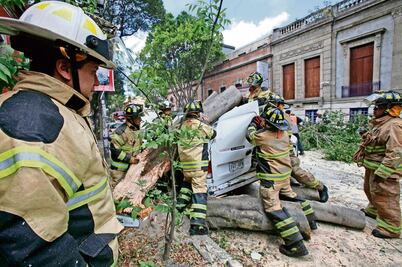 “Estos vientos, los más desastrosos en 40 años”