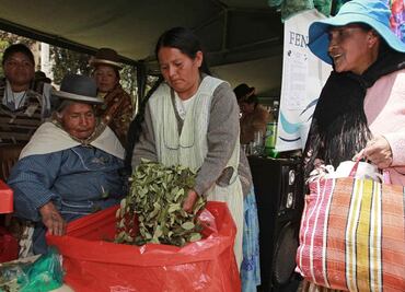 Bolivianos regalarán al Papa un pastel de hoja de coca