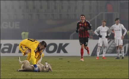 Tierna imagen de un portero y un perro en la Europa League