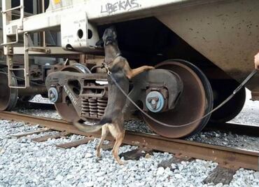 Over 88 pounds of marijuana found in a train in Tamaulipas