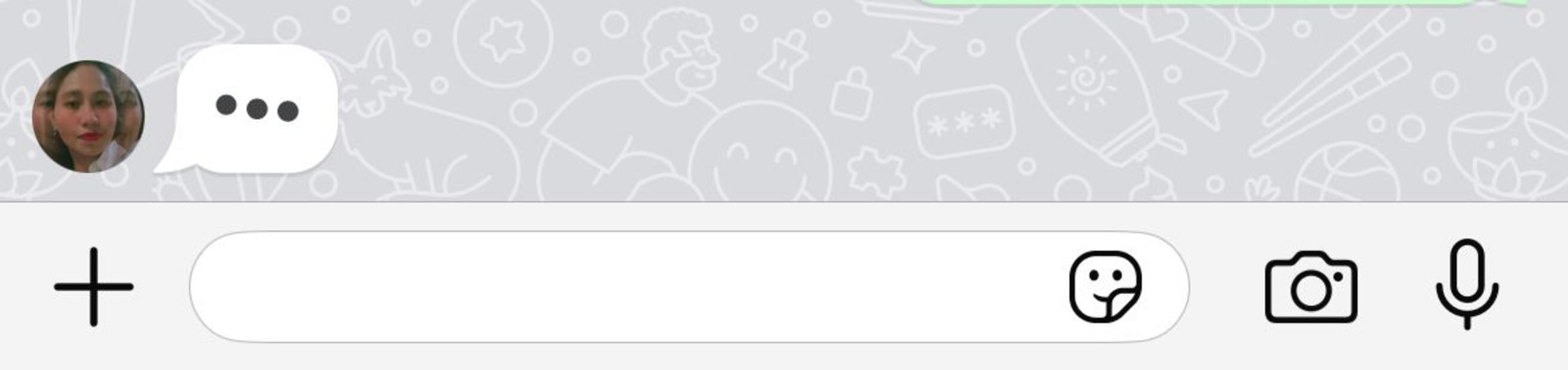 Nuevos íconos en los chats de WhatsApp. Foto: Captura de pantalla