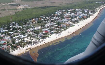Recolecta Semar 38 mil toneladas de sargazo en las principales playas del caribe mexicano