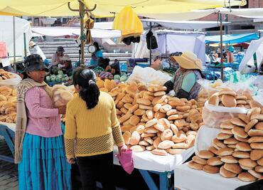 OEA: hubo manipulación dolosa en Bolivia