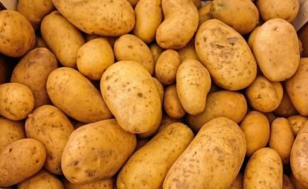 Ordenan a Sagarpa impedir el ingreso de papa fresca proveniente de EU