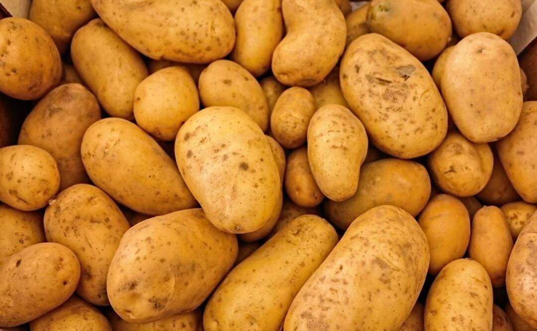 Ordenan a Sagarpa impedir el ingreso de papa fresca proveniente de EU