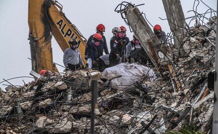 ¿Y las mascotas de quienes vivían en el edificio derrumbado de Florida? 