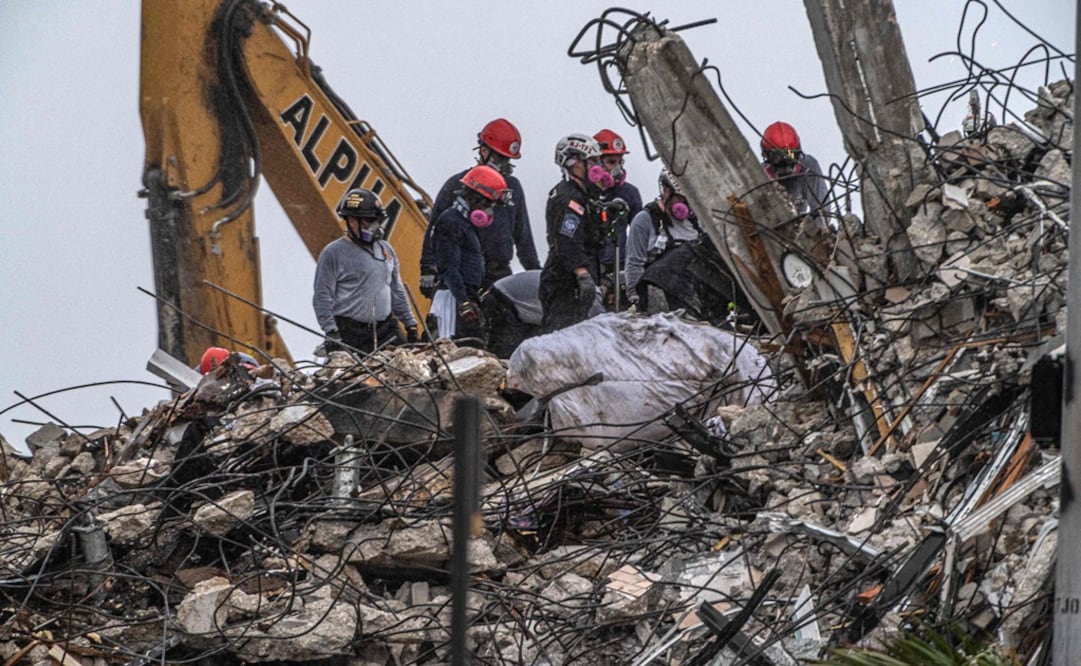 Equipos de rescate realizan una revisión completa en busca de animales. Foto: AFP
