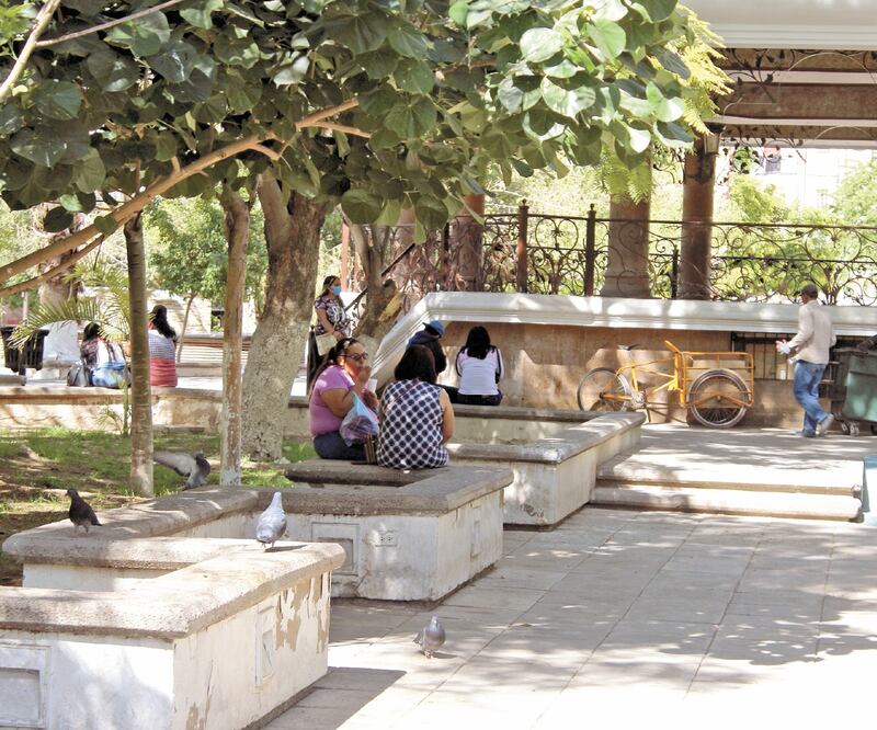 En el parque Morelos de Gomez Palacio, lo mismo se pueden ver trabajadores descansando, degustando algún alimento, parejas pasando el rato o a familias completas sin guardar la sana distancia o usando de manera incorrecta el cubrebocas. FOTOS: FRANCISCO