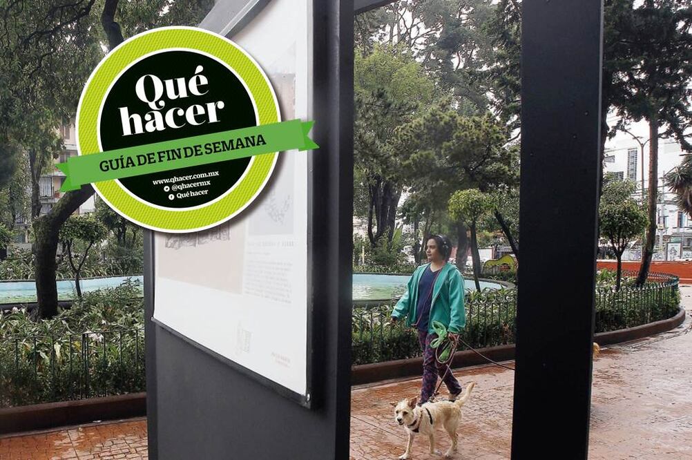 La Plaza Luis Cabrera, uno de los lugares emblemáticos en el histórico barrio capitalino (ARIEL OJEDA. EL UNIVERSAL)