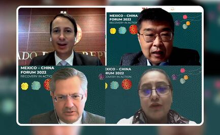 Especialistas destacan en foro bilateral potencial de inversiones entre México y China