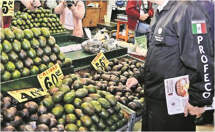 Aguacate alcanza los 100 pesos y podría llegar a los 130