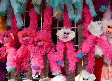 “Changuitos miones”, el nuevo hito del Bosque de Chapultepec; conoce su origen