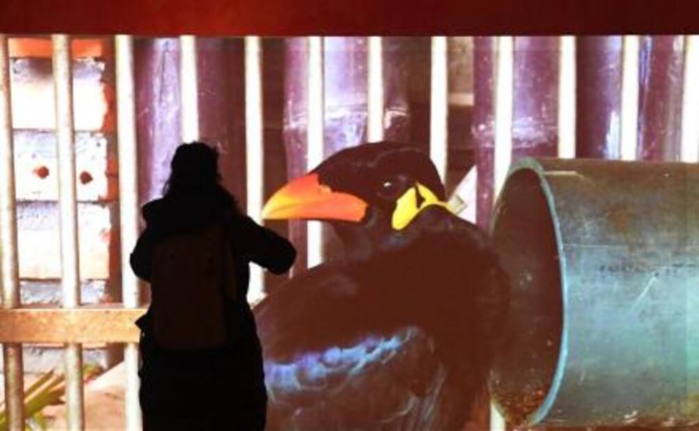 La Tate Modern exhibe la obra de Joan Jonas