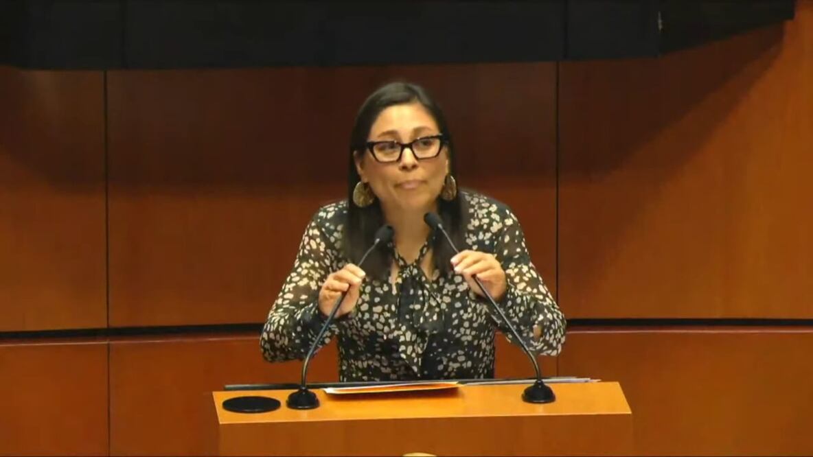 Erika Vanessa Del Castillo Ibarra, diputada de Morena. Foto: Captura de pantalla