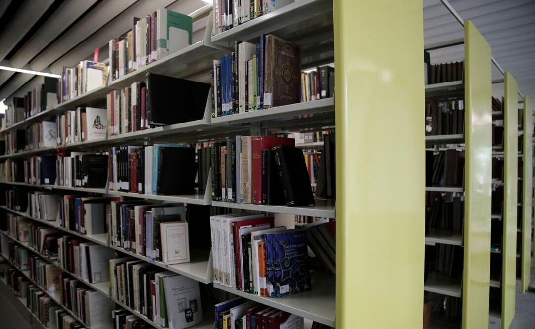 Imagen ilustrativa de una biblioteca. Foto: Colmex