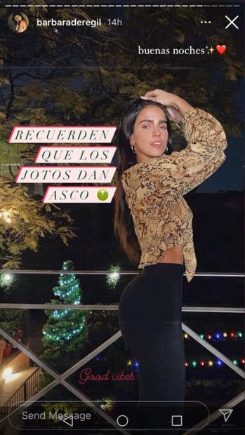 Acusan a Bárbara de Regil de homofóbica, pero ella aclara lo que realmente pasó