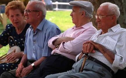 Tarjetón Digital IMSS para jubilados: cómo descargarlo 