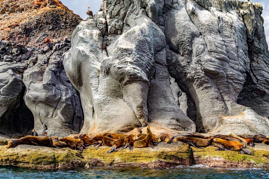Foto: SETUE Baja California Sur