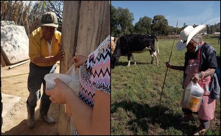 Alcaldía de Hidalgo entrega alimentos a domicilio a adultos mayores vulnerables a Covid
