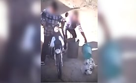 Mujer vinculada a proceso por tirar a un gato dentro de costal en León, obtiene suspensión condicional; logra acuerdo para reparar el daño