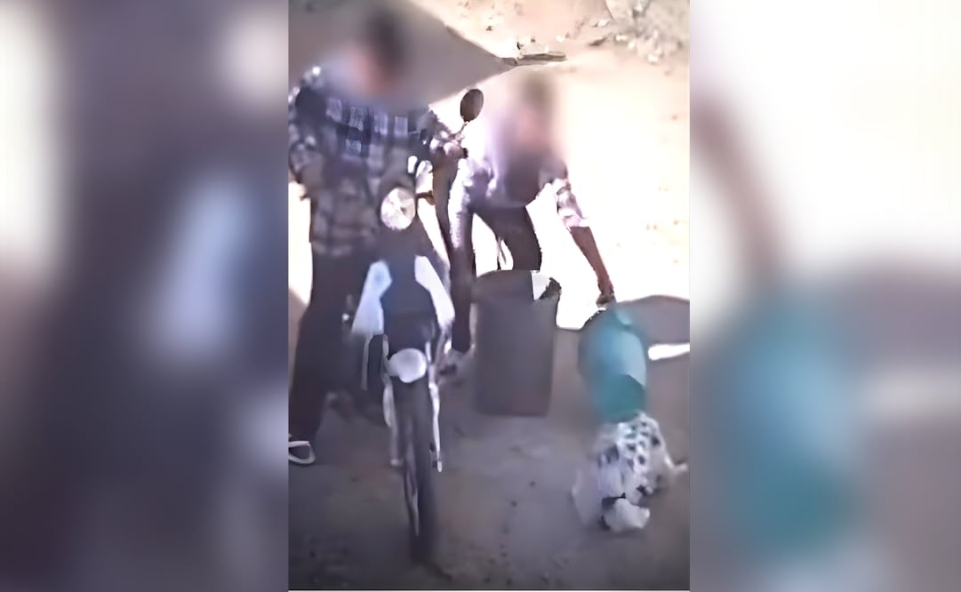 Un juez otorgó la suspensión condicional del proceso a una mujer acusada de arrojar un gato dentro de un costal, permitiendo un acuerdo de reparación. | Foto: Especial.