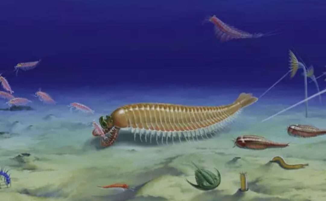 Foto: DIYING HUANG vía Europa Press