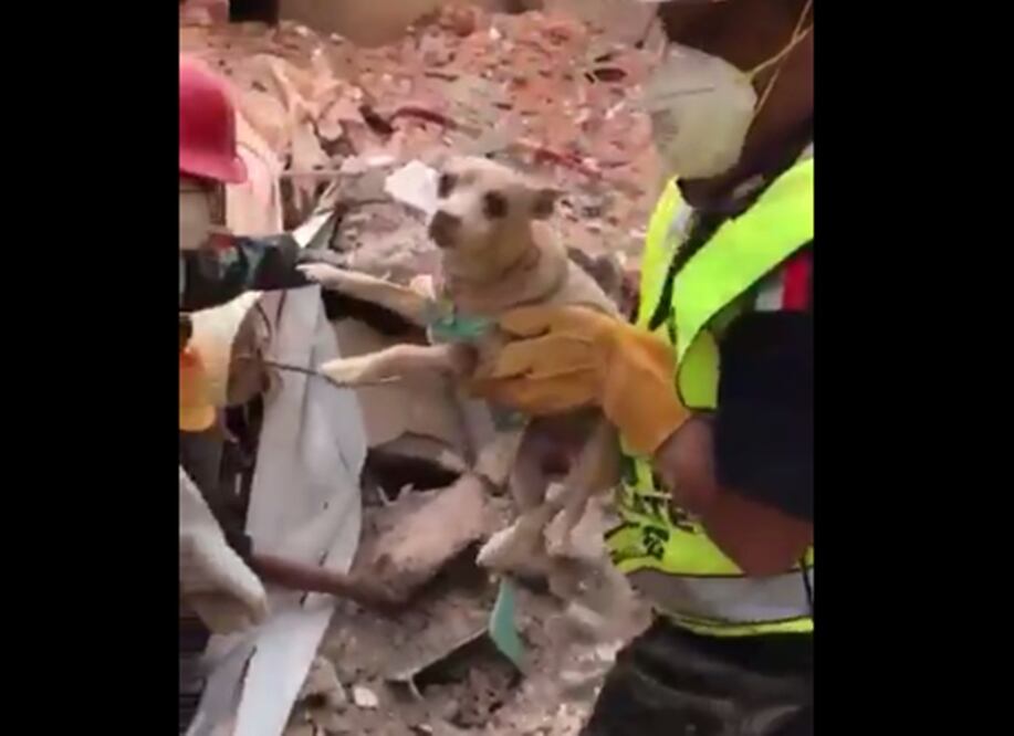 (Foto: tomada de video)