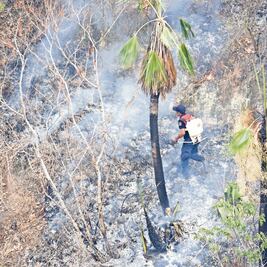 Incendios afectan a Oaxaca y Guerrero