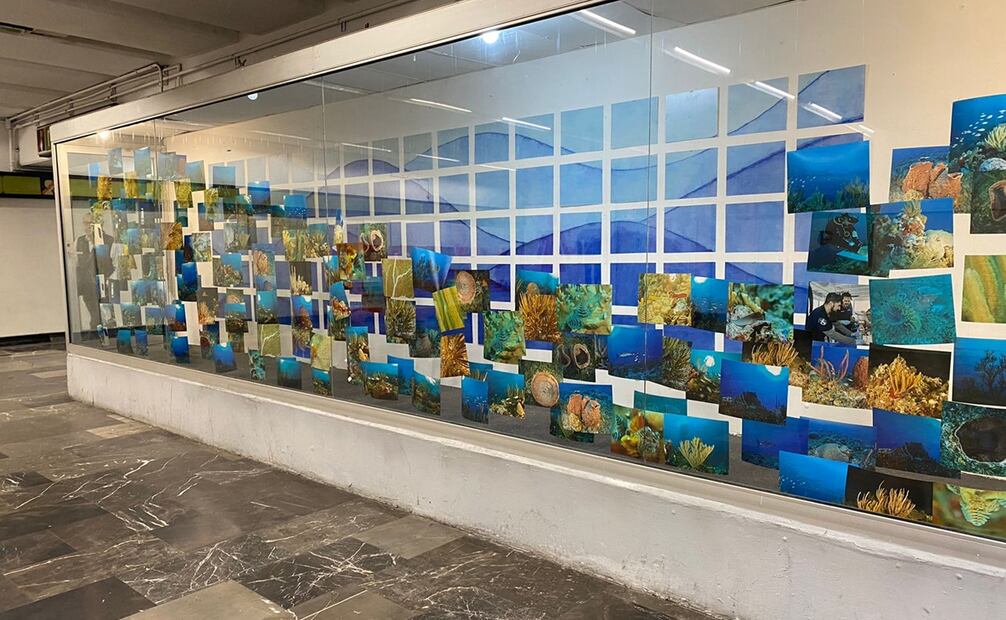Exposición “Arrecifes de coral, del mar al anden” en Metro La Raza. Foto: Rafael García