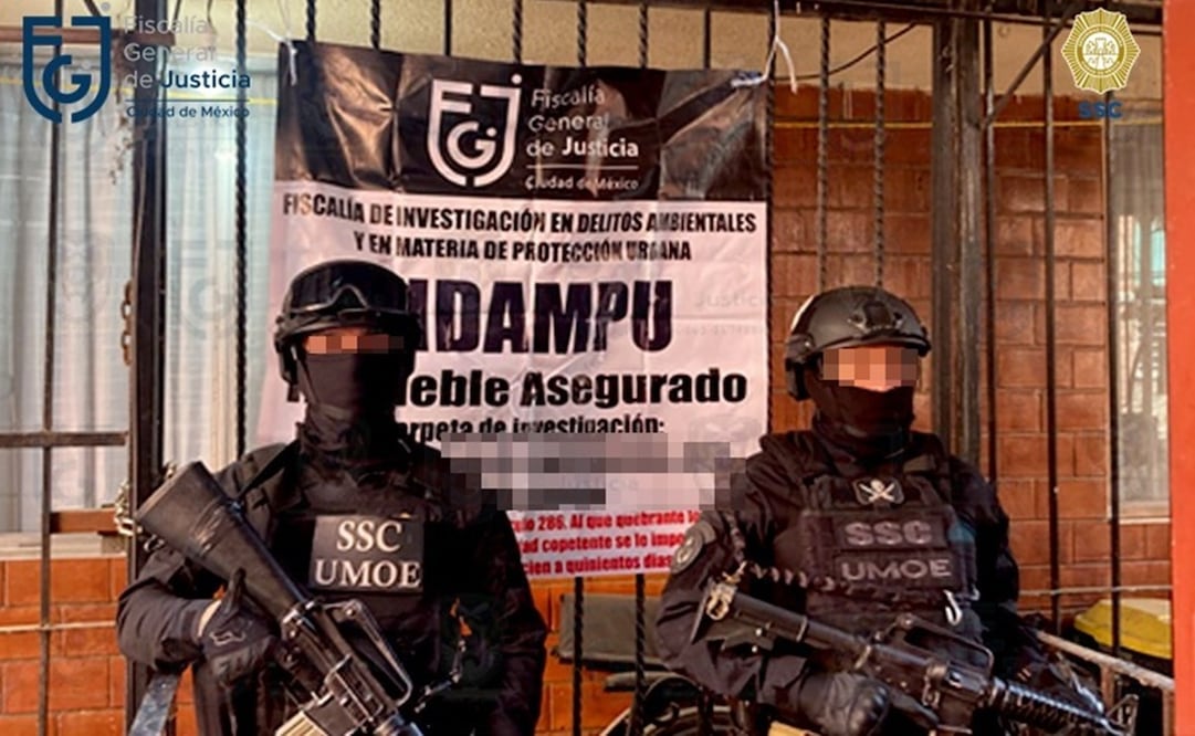 Fiscalía recupera 17 departamentos invadidos por organización en Iztapalapa. Foto: Especial