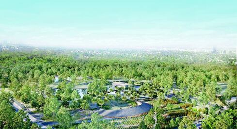 Cancelan convocatoria para proyecto en Bosque de Chapultepec