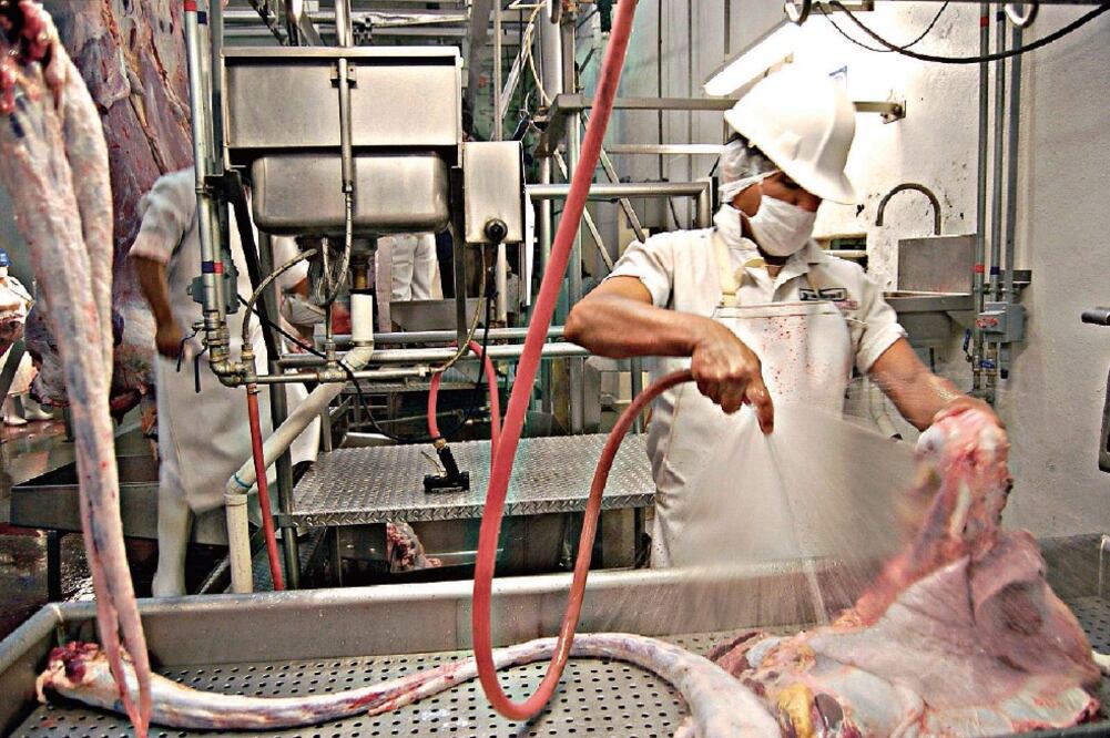 Propuest a. Expertos llaman a que se analice un aumento al salario mínimo, para asegurar a la población una vida digna (ARCHIVO. EL UNIVERSAL)