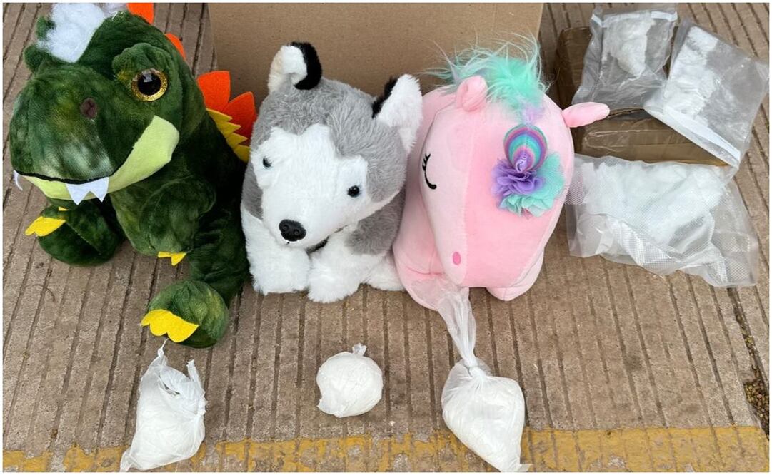 Foto: Guardia Nacional