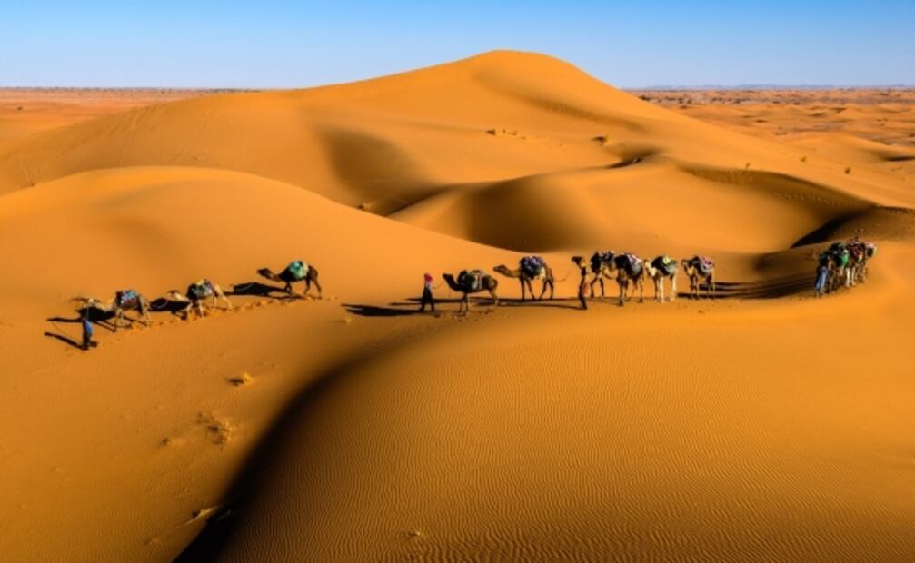 5 beneficios que los viajes traen a tu vida, según experto