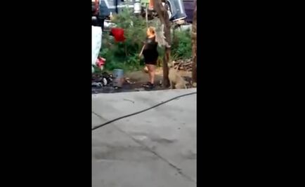 Indigna video de mujer colgando a perro de un árbol