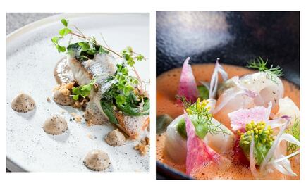 ¿Ya conoces el menú degustación de Yuban?