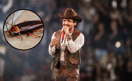 Detectan plaga de cucarachas en pleno concierto de Christian Nodal en Plaza de Toros; video se vuelve viral