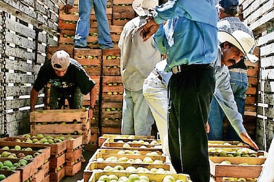 La SE impone cuotas para manzanas de EU