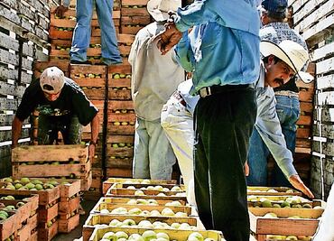 La SE impone cuotas para manzanas de EU