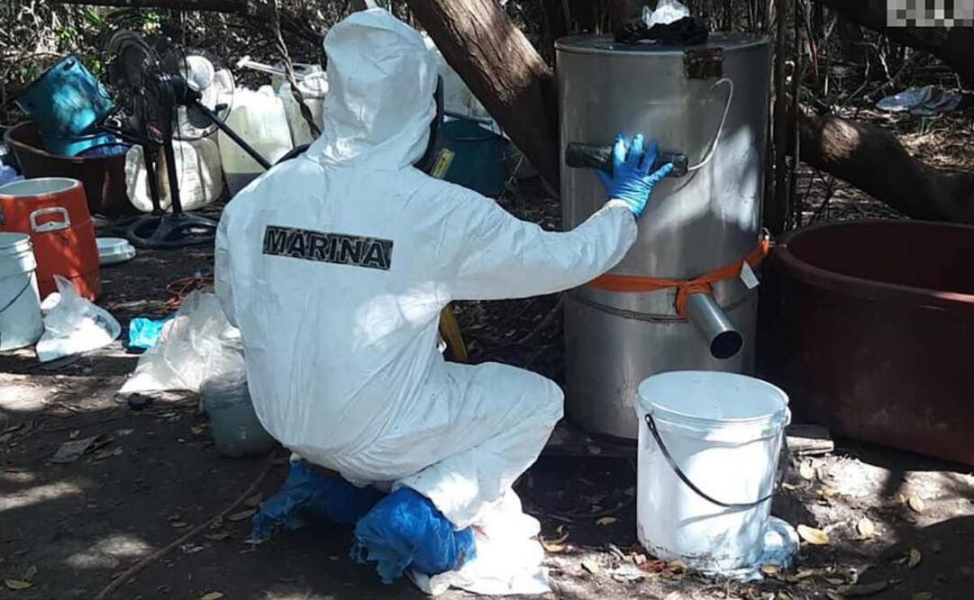 En cinco meses, se han asegurado 52 toneladas de droga: Gabinete de Seguridad. Foto: Especial