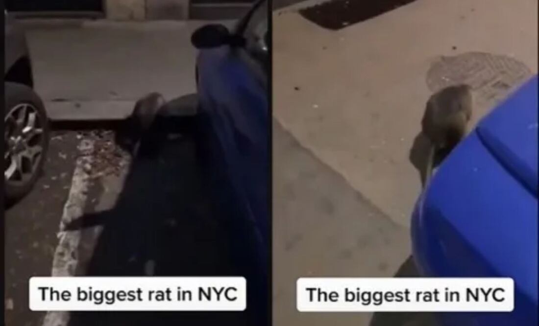 Imagen: Captura de pantalla