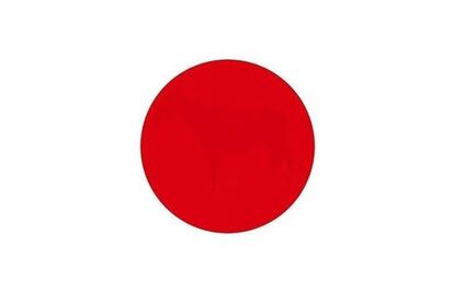 Reto Viral. ¿Qué figura ves dentro del círculo rojo?