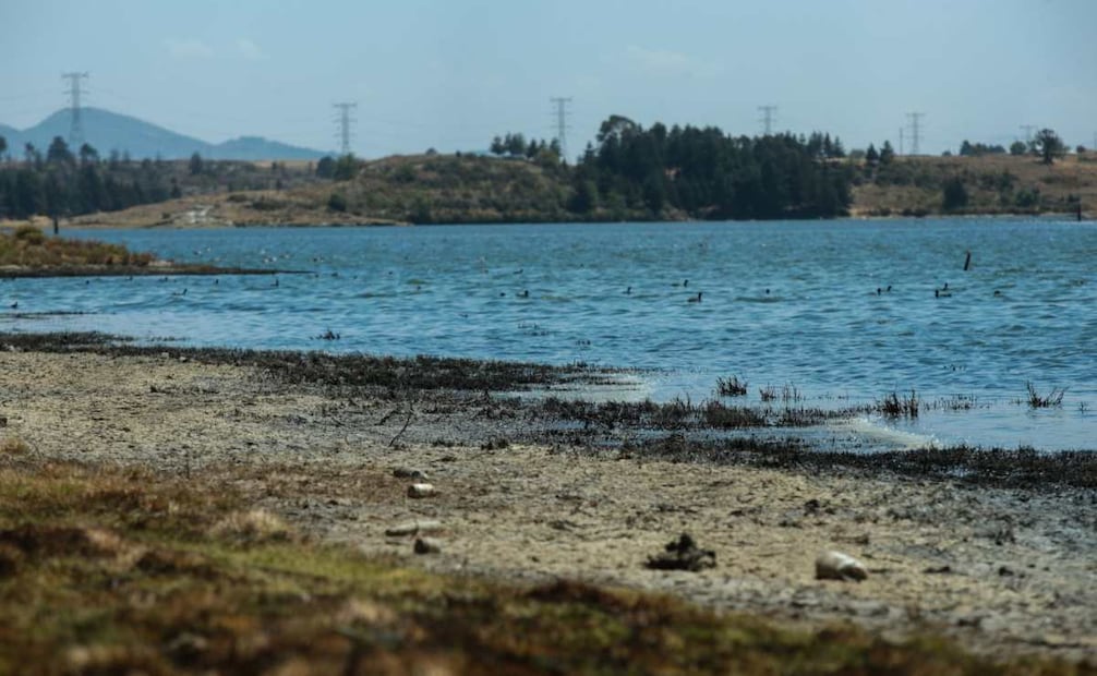 Vecinos de las comunidades que se encuentran alrededor de La Presa Ignacio Ramírez en Almoloya de Juárez, piden se rescate este cuerpo de agua que ha sido contaminado por muchos años por la descarga de aguas residuales (24/04/24). Foto: Crisanta Espinosa/ Cuartoscuro