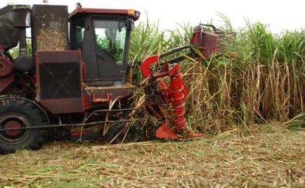 Ingresos por venta de ingenios irán al presupuesto: SHCP