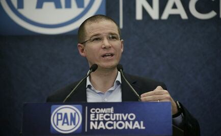 PAN anuncia investigación formal por postulación de diputada