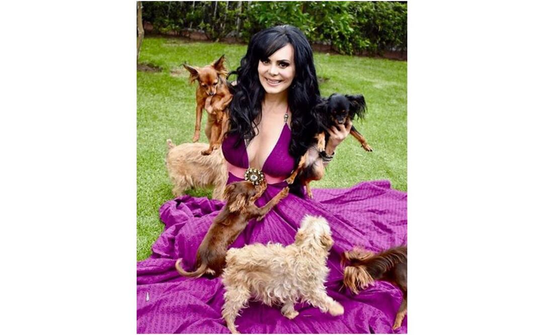 Maribel Guardia, amante de los caninos. Foto: Instagram 