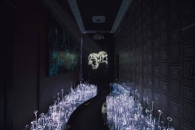 Microenormous: nueva experiencia sensorial en una mansión de CDMX